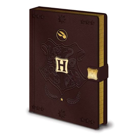 Obrázek Zápisník Harry Potter - Famfrpál