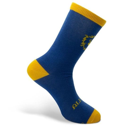 Obrázek Ponožky World of Warcraft - Alliance Blue & Yellow