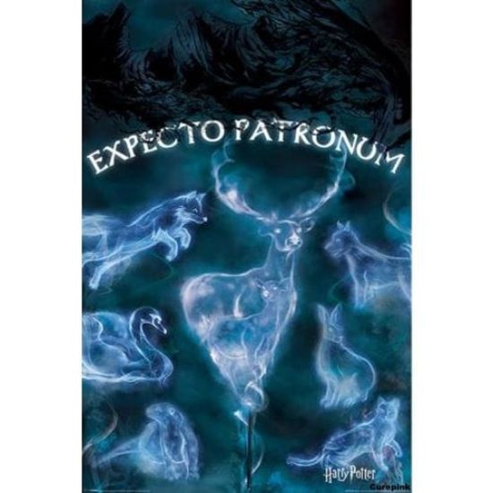 Obrázek Plakát Harry Potter - Patronus