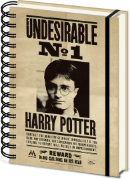 Obrázek Zápisník Harry Potter - Sirius & Harry 3D