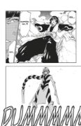 Obrázek Bleach 39: El Verdugo