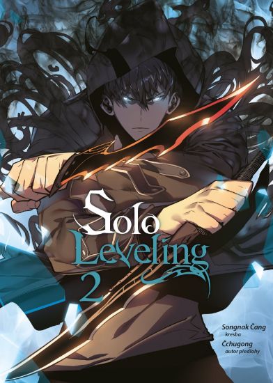 Obrázek Solo Leveling 2