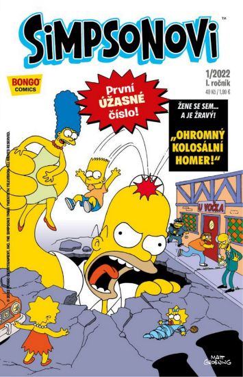 Obrázek Simpsonovi 01: 01/2022