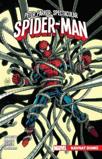Obrázek Peter Parker Spectacular Spider-Man 4: Návrat domů