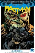 Obrázek Batman 03: Já jsem zhouba