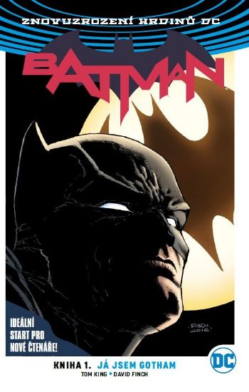 Obrázek Batman 01: Já jsem Gotham V4