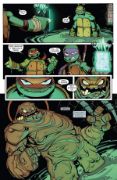 Obrázek Batman - Želvy nindža: Adventures