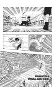 Obrázek Naruto 33: Přísně tajná mise