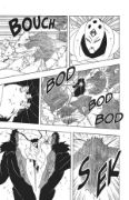 Obrázek Naruto 31: Svěřený sen