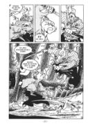 Obrázek Usagi Yojimbo 25: Hon na lišku