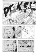 Obrázek Naruto 25: Bratři