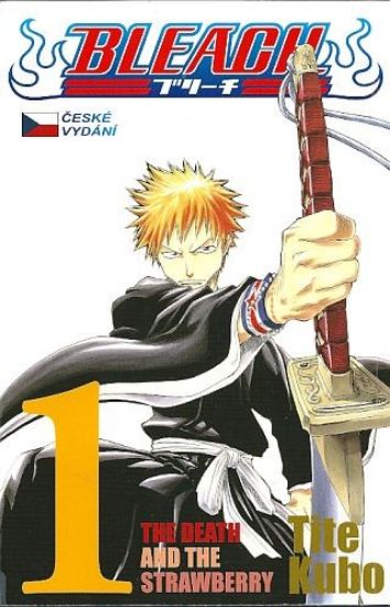 Obrázek Bleach 01 - The Death and the Strawberry