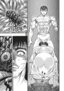 Obrázek Berserk 14