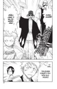 Obrázek Bleach 06 - The Death Trilogy Overture