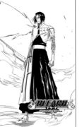 Obrázek Bleach 15 - Beginning of Death Tomorrow
