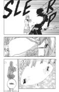 Obrázek Bleach 27 - Goodbye, halcyon days.