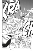 Obrázek Bleach 38: Fear For Fight