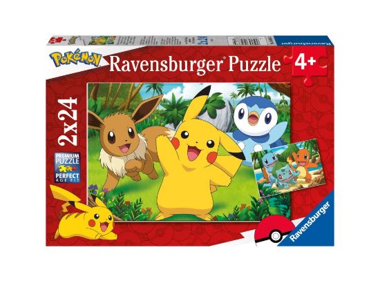 Obrázek Pokémon 2x24 dílků