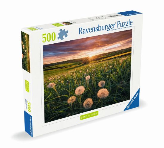 Obrázek Pampelišky v západu slunce 500 dílků
