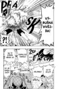 Obrázek One Piece 9: Slzy