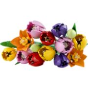 Obrázek Kytice tulipánů
