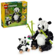 Obrázek Divoká zvířata: Pandí rodinka