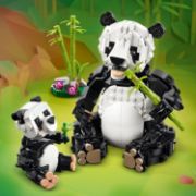Obrázek Divoká zvířata: Pandí rodinka