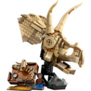 Obrázek Dinosauří fosilie: Lebka triceratopse