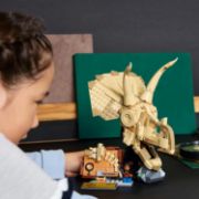 Obrázek Dinosauří fosilie: Lebka triceratopse