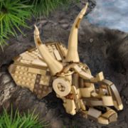 Obrázek Dinosauří fosilie: Lebka triceratopse
