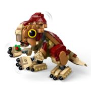 Obrázek Dinosauří mládě Dolores: Aquilops