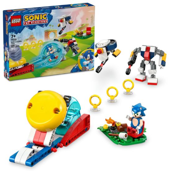 Obrázek Sonic a souboj u táboráku