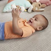 Obrázek Fisher Price chrastítka/kousátka asst