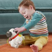 Obrázek Fisher Price chodící Mopslík