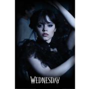 Obrázek Plakát Wednesday - Goo Goo Muck