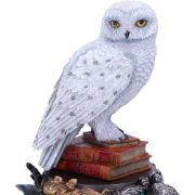 Obrázek Soška Harry Potter - Hedvika