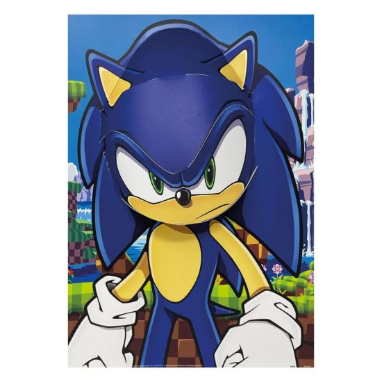 Obrázek Plakát 3D - Ježek Sonic