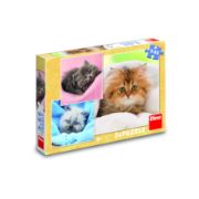 Obrázek Puzzle Roztomilá koťátka 3x55 dílků