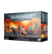 Obrázek SPACE MARINES BLADEGUARD VETERANS