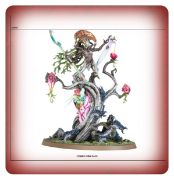 Obrázek SYLVANETH: GROVE GUARDIAN