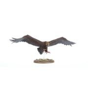 Obrázek M-E SBG: GREAT EAGLES
