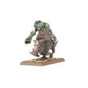 Obrázek ORC & GOBLIN TRIBES: ORC BOAR BOYZ MOB