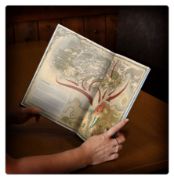 Obrázek ARCANE JOURNAL: THE RAZING OF WESTERLAND