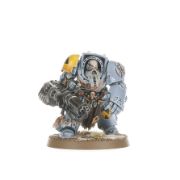 Obrázek COMBAT PATROL: SPACE WOLVES
