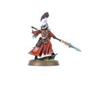 Obrázek AELDARI: WARLOCKS