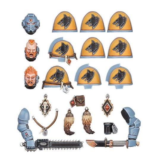 Obrázek SPACE WOLVES PRIMARIS UPGRADES
