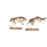 Obrázek SPACE WOLVES FENRISIAN WOLVES