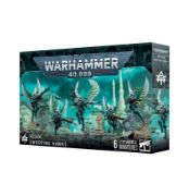 Obrázek AELDARI: SWOOPING HAWKS