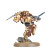 Obrázek BLOOD ANGELS: SANGUINARY GUARD