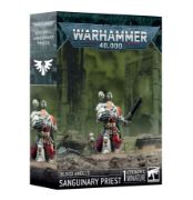 Obrázek BLOOD ANGELS: SANGUINARY PRIEST